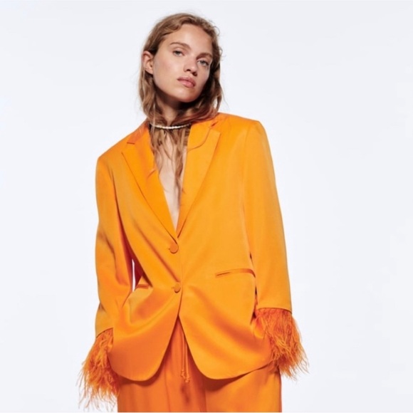 Zara Limited Edition Feathered Blazer Size M - Picture 15 of 17